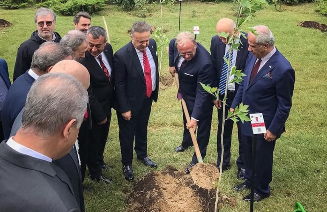 15 Temmuz - Fidan Dikimi